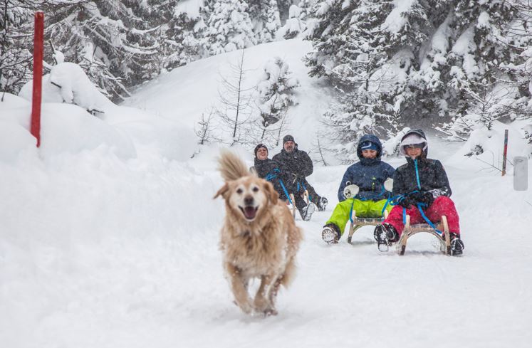 Ötztal, Gries bei Längenfeld, Rodeln, Winter, Familie, Kinder